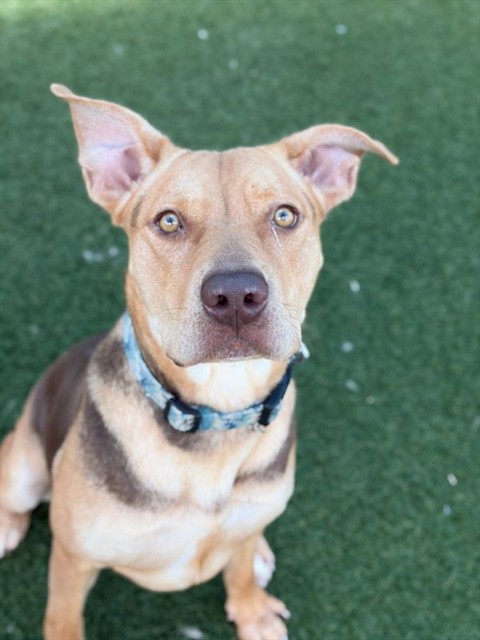 Photo of Cali