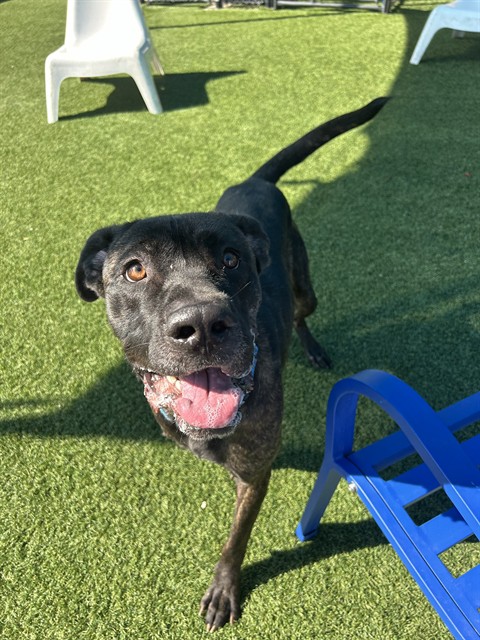 Photo of Zeus