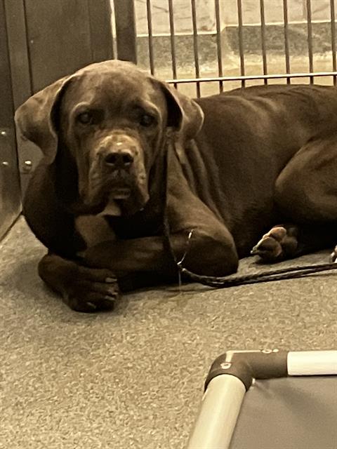 Photo of Storm