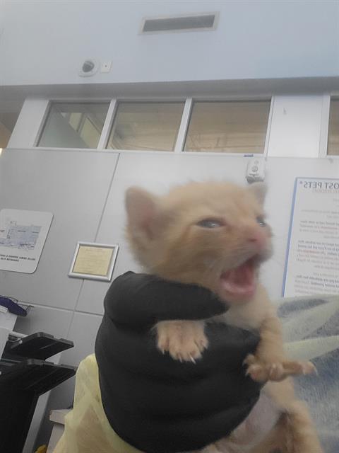 Photo of Wednesday