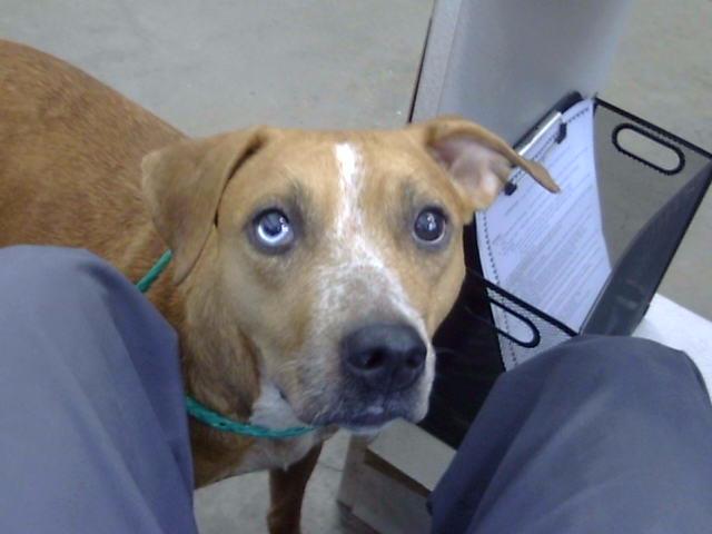 Photo of Luna